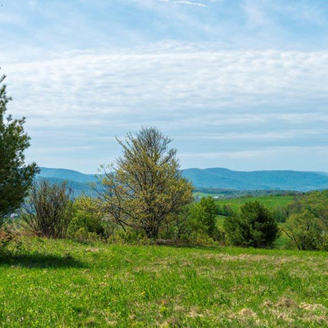 Property Section Photos Mountain Meadows