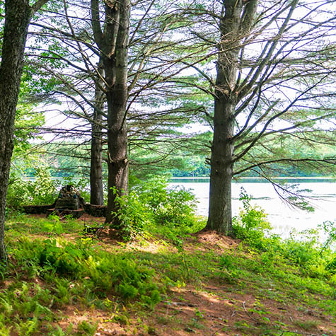 Website Home Page Property Photos Woodward Lake