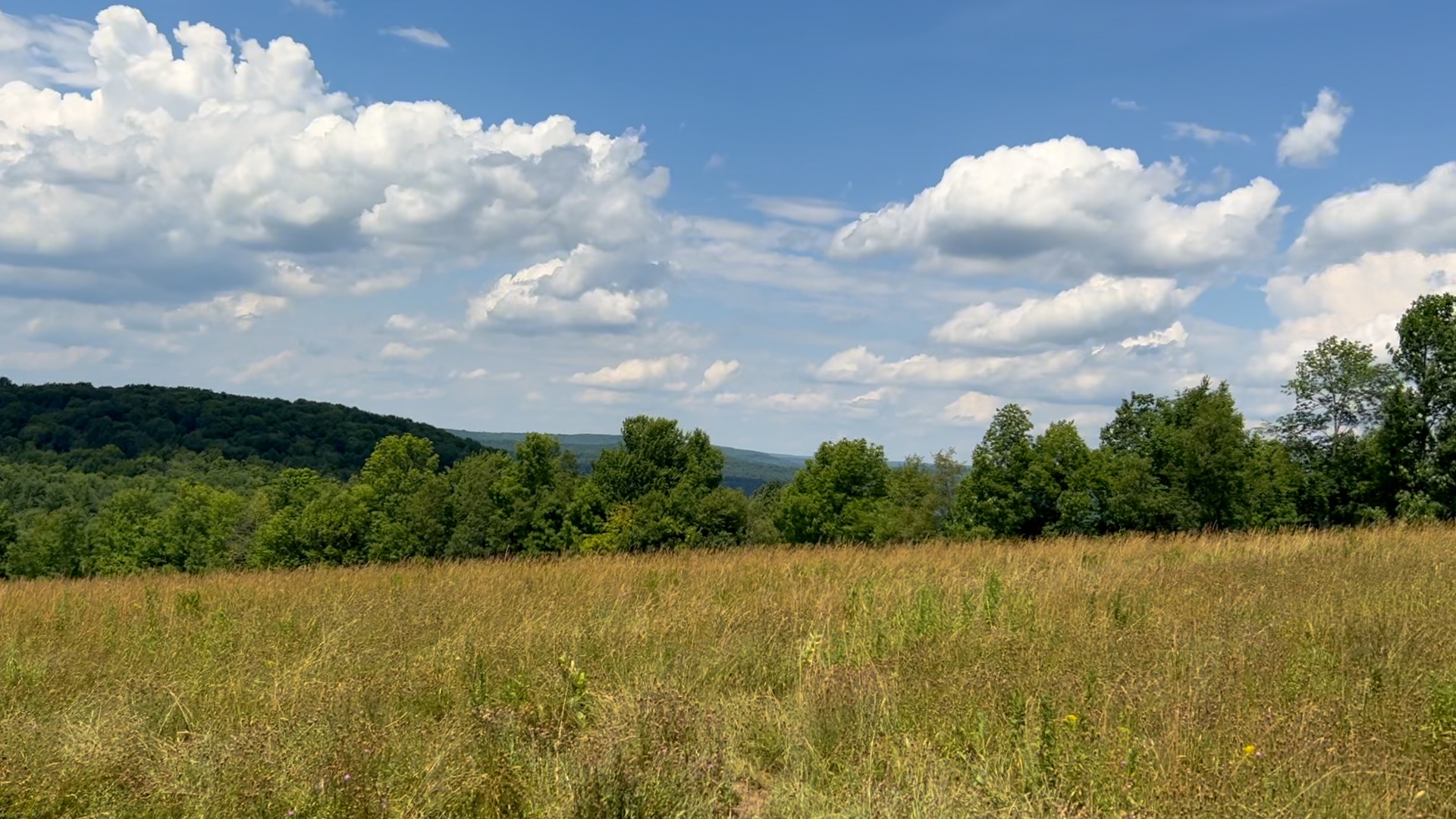 Rolling Brook lot 3 - 2